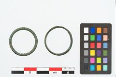 Foto von Bronzering (NHMW-PRAE-026240)